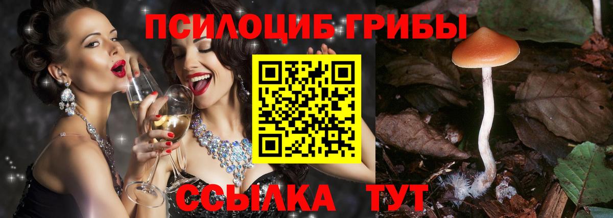 Псилоцибиновые грибы Cubensis  Галлюциногенные грибы Cubensis  Вход с VPN  Чехов 